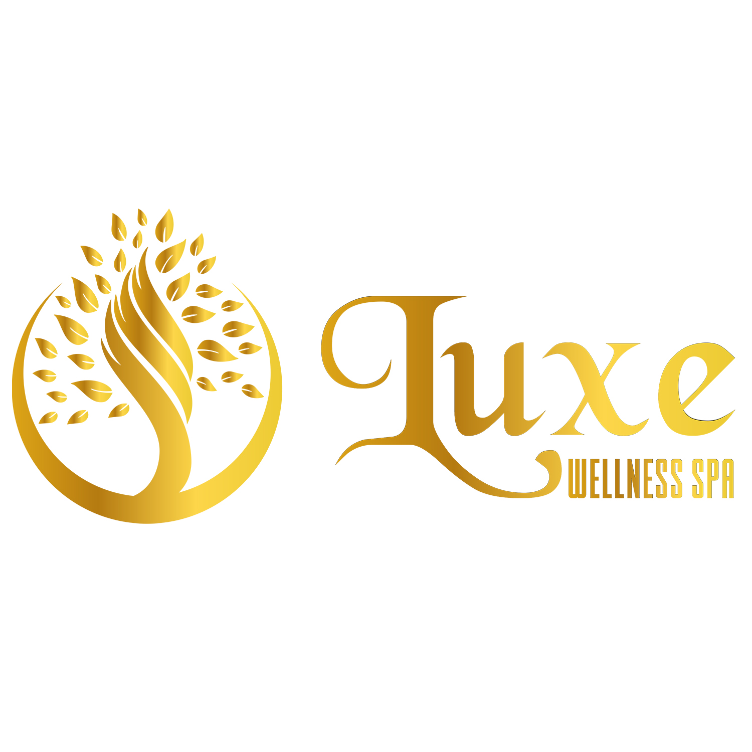 Luxe wellness spa